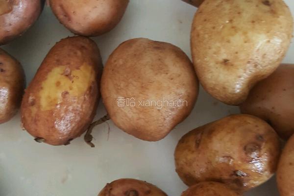 老奶洋芋的做法图解1