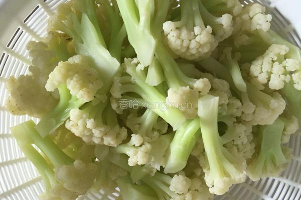 西红柿炒花菜的做法图解6