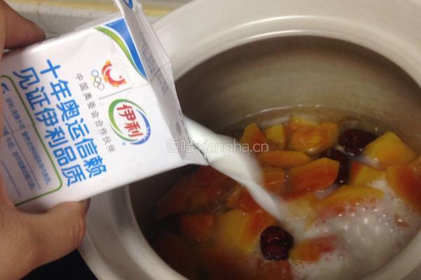 木瓜牛奶的做法图解2