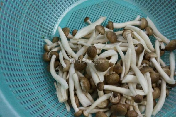 蟹味菇鸡汤的做法图解2