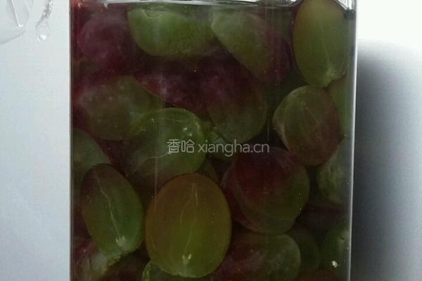 鲜葡萄天然酵母的做法图解3