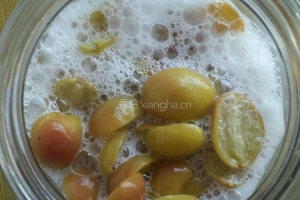 鲜葡萄天然酵母的做法图解6