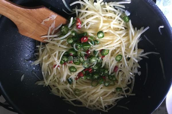 尖椒土豆丝的做法图解8