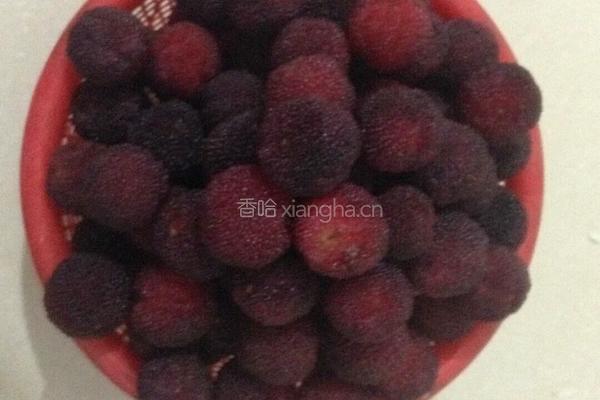 杨梅醋的做法图解2