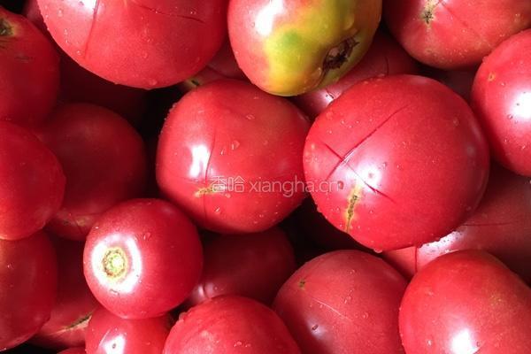 番茄酱（西红柿酱🍅）的做法图解1