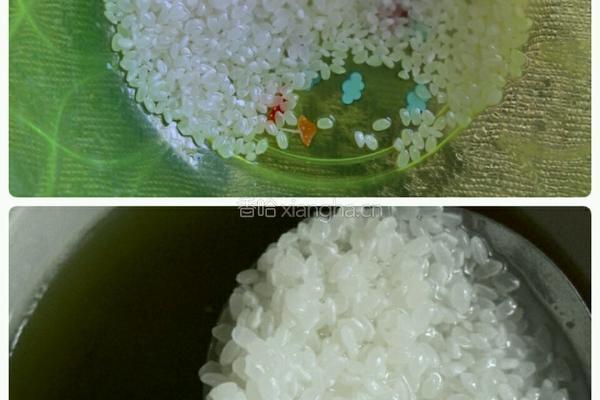 绿豆海带粥（炖锅版）的做法图解5