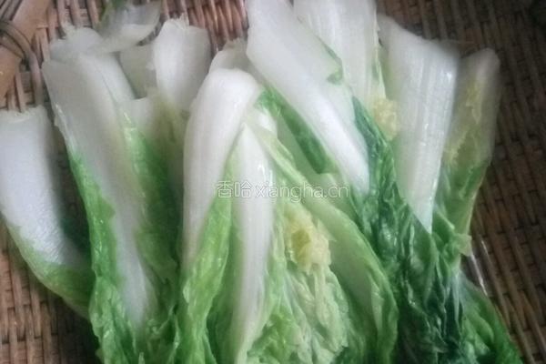 酸辣白菜的做法图解1