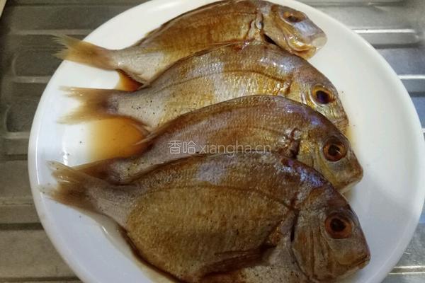 干煎金线鱼的做法图解1