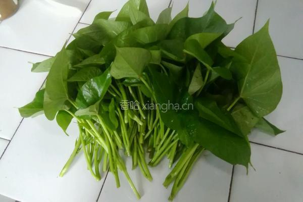 炒番薯叶的做法图解1