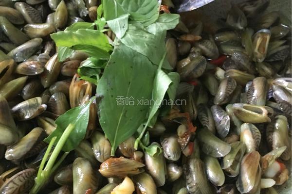 海瓜子的做法图解5