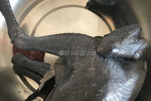 乌鸡煲的做法图解1