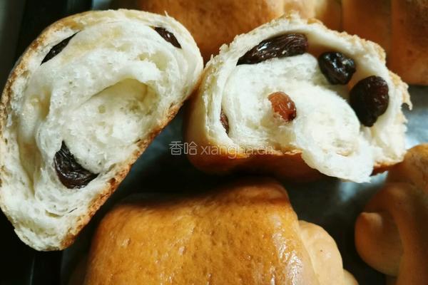 葡萄干小面包的做法图解15
