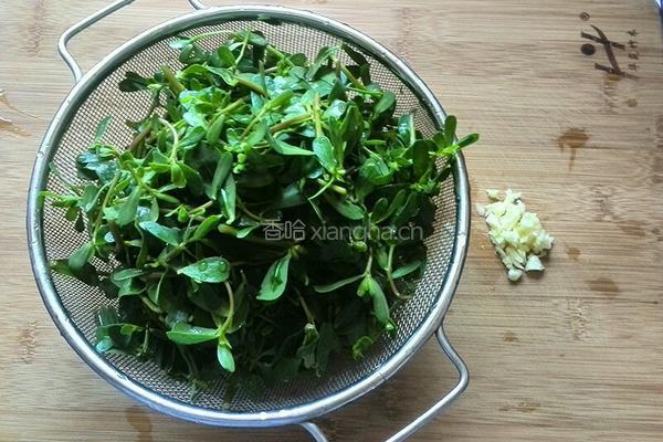 蒜蓉拌马齿苋的做法图解1