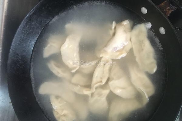 黄瓜猪肉水饺的做法图解9