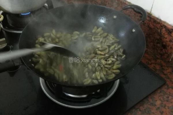 炒薄壳的做法图解3
