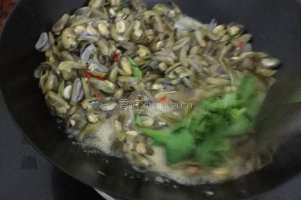 炒薄壳的做法图解4
