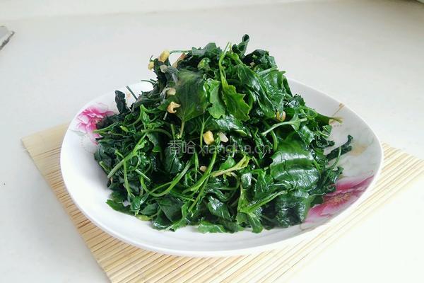 炒灰灰菜（天然野菜）的做法图解10