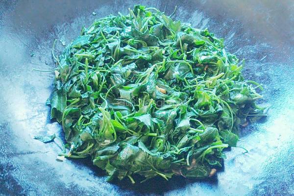 炒灰灰菜（天然野菜）的做法图解8