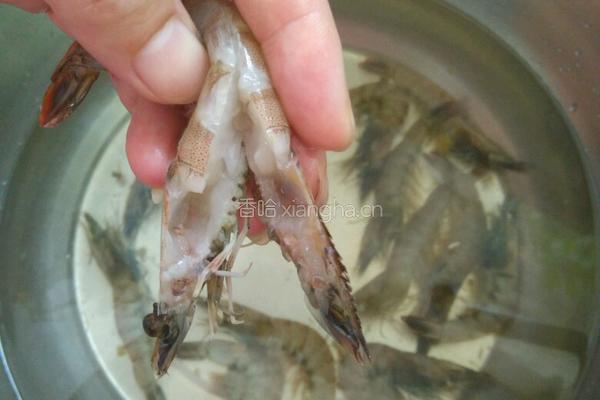 豉油蒜蓉虾的做法图解1