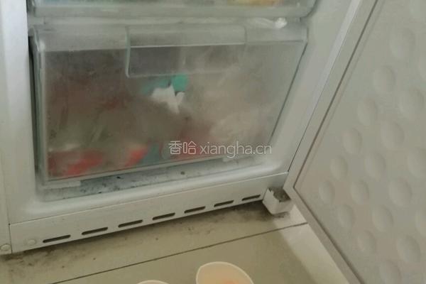 红枣酸奶冰棒的做法图解4