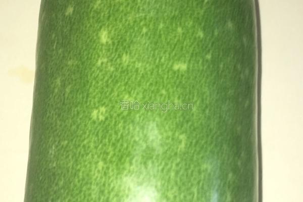 红烧肉炖冬瓜的做法图解1