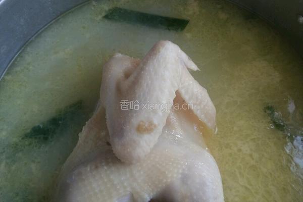 碳锅鸡的做法图解5