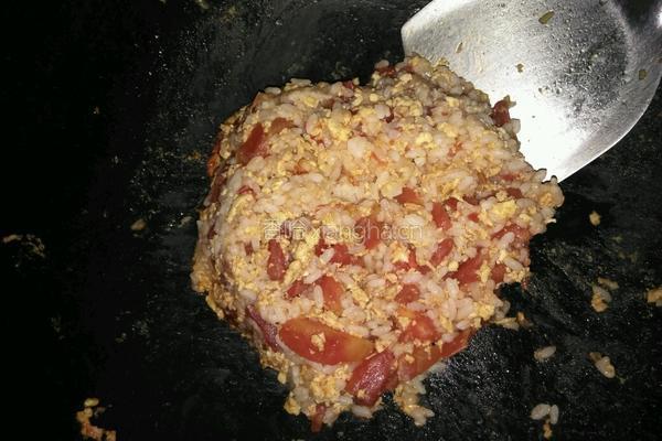 西红柿炒蛋拌饭的做法图解4