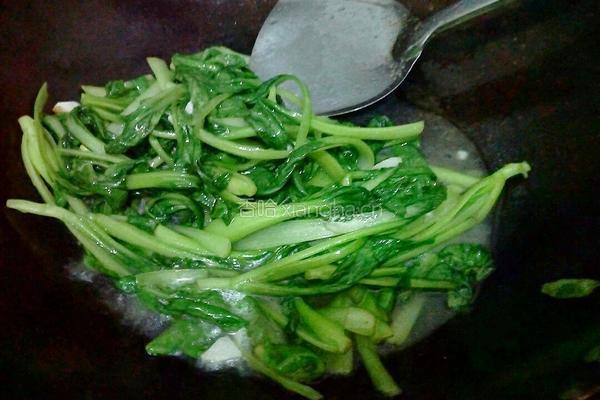 素炒青菜的做法图解4