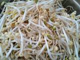 自发绿豆芽的做法[图]