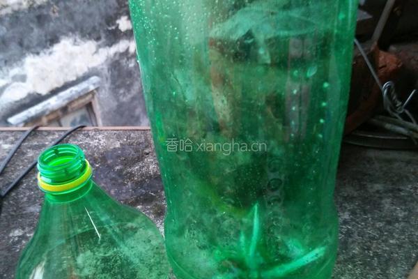 自发绿豆芽的做法图解1