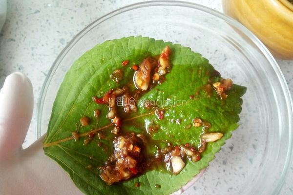 苏子叶咸菜的做法图解10
