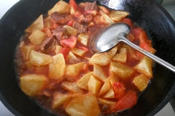 西红柿牛腩炖土豆的做法图解7
