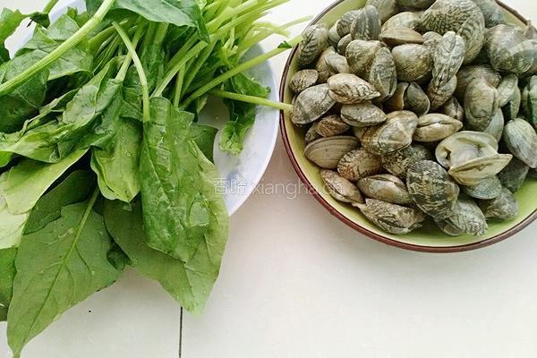 菠菜拌花蚬的做法图解1