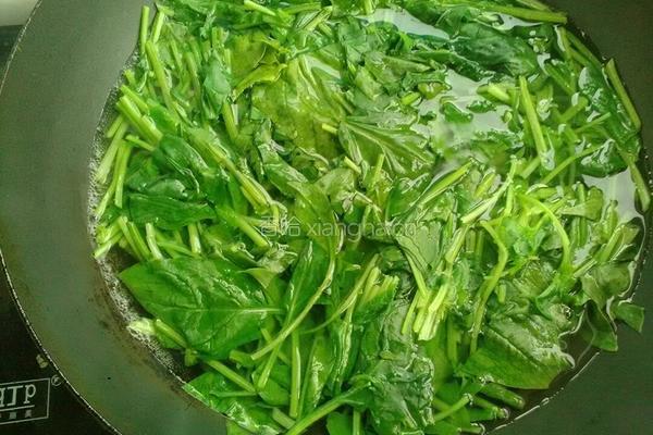 菠菜拌花蚬的做法图解4