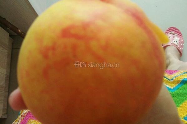 桃罐头的做法图解1