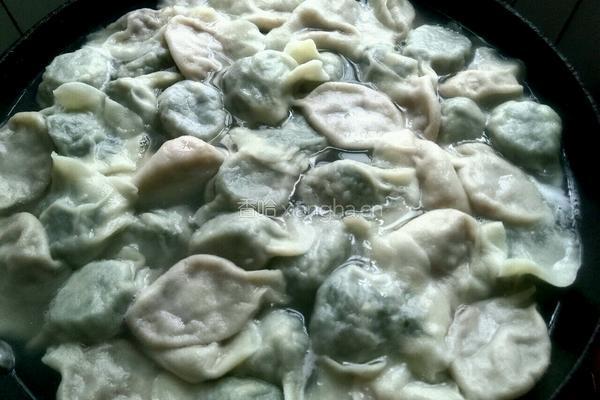 小瓜猪肉水饺的做法图解15