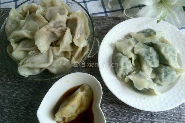 小瓜猪肉水饺的做法图解16
