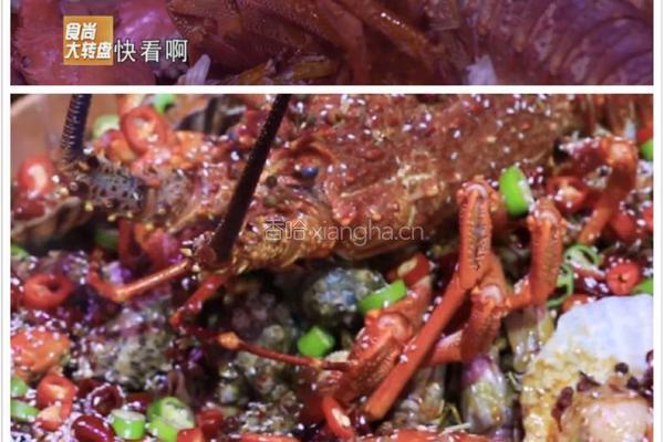 海味麻辣诱惑（最后有惊喜）的做法图解10