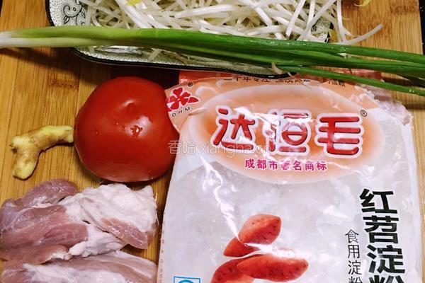 番茄绿豆芽肉丸汤的做法图解1