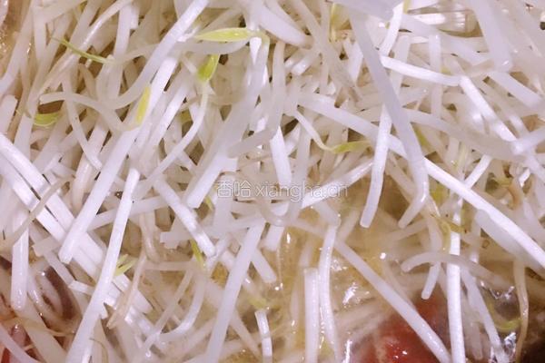 番茄绿豆芽肉丸汤的做法图解6