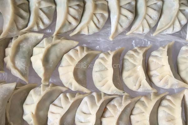 胡萝卜韭菜饺的做法图解3