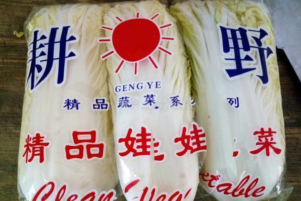 蒜蓉娃娃菜的做法图解1