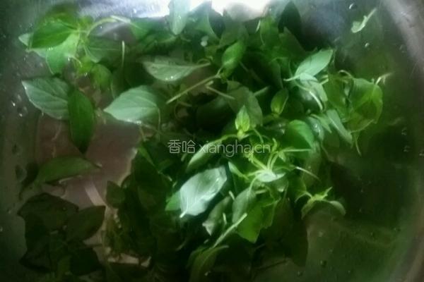 西红柿鸡蛋荆芥面条的做法图解1
