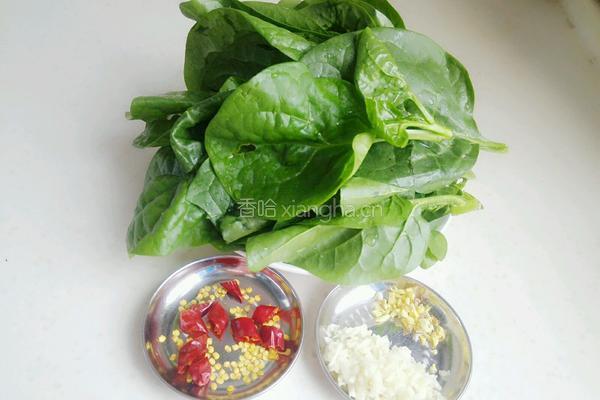 炝炒木耳菜（ 豆腐菜 ）的做法图解2