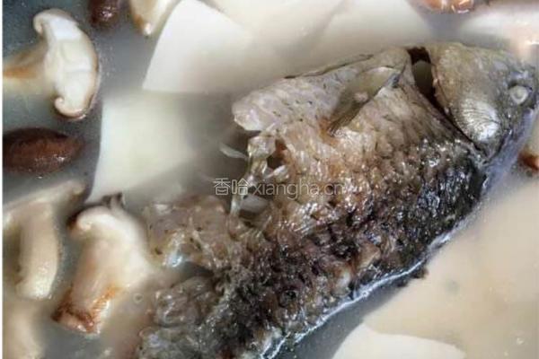 豆腐鯽鱼汤的做法图解4