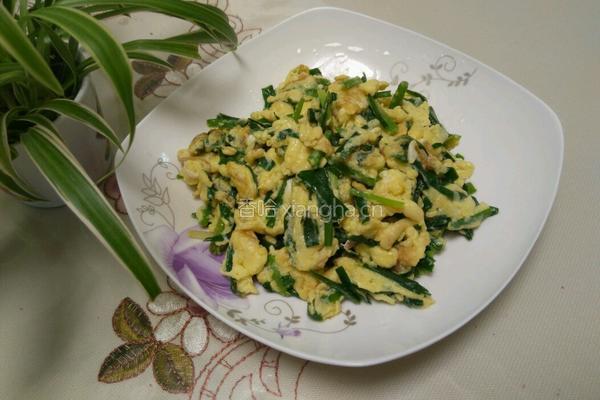 韭菜炒鸡蛋的做法图解7