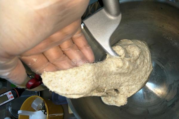 益糖全麦核桃土司(糖尿病糖友食谱)(减肥瘦身适用)的做法图解3