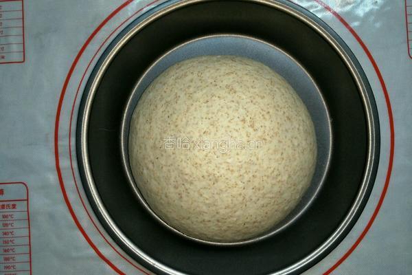 益糖全麦核桃土司(糖尿病糖友食谱)(减肥瘦身适用)的做法图解6