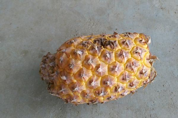 自制菠夢罐头的做法图解1