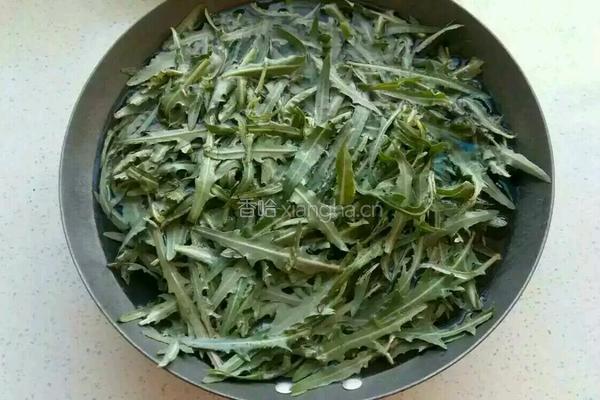 凉拌苦菜的做法图解1